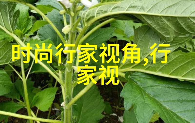 短装外套搭配图片