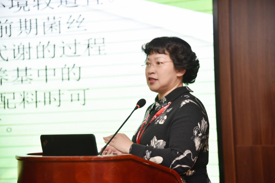 爱之光 娇羞的你和洁白的婚纱是的结合