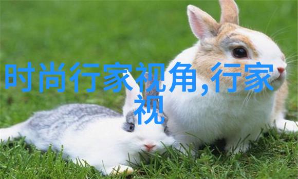 今年流行圆脸(今年流行圆脸吗)