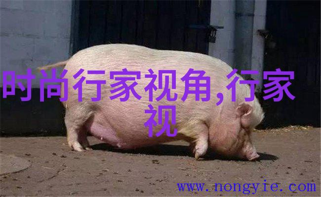 牛人改编流行歌(流行歌曲改编歌词大全)