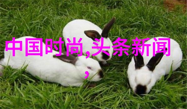 薄款羽绒可以当作好的内搭来搭配